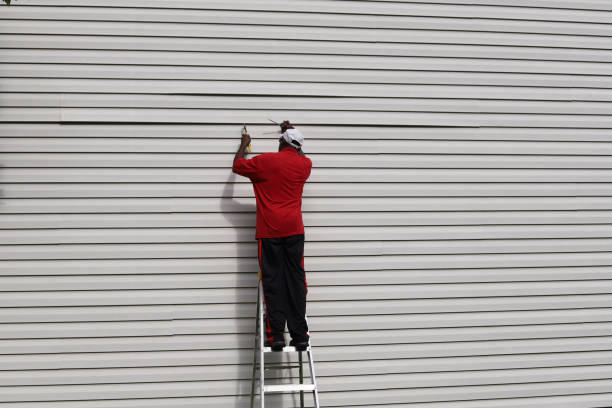 Best Steel Siding Installation  in Humboldt, KS